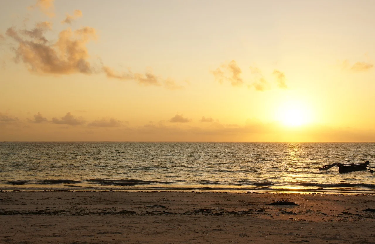 Tanzania Safari & Zanzibar Beach Vacation